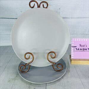 Ikea of Sweden 12011 Solid Gray Matte Round Stoneware 10.25" Dinner Plates Set 2